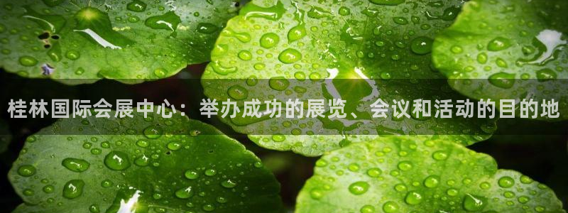 果博平台开户电话