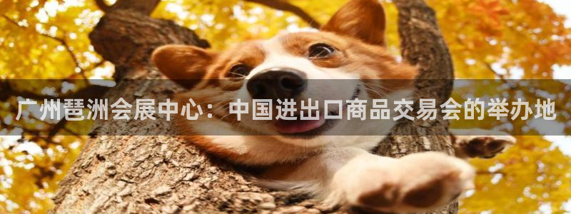 果博平台真实吗安全吗是真的吗：广州琶洲会展中心：中国进出口商品交易会的举办地