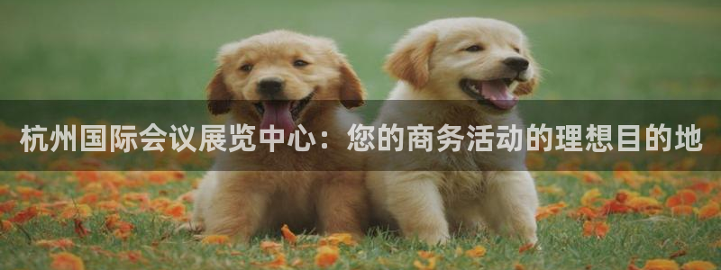 果博平台苹果电脑怎么下载