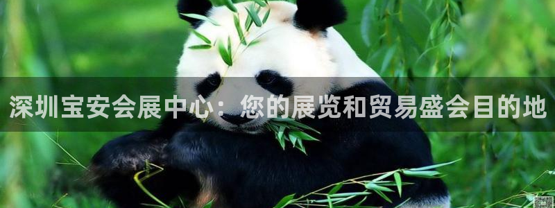果博官网客服电话号码查询