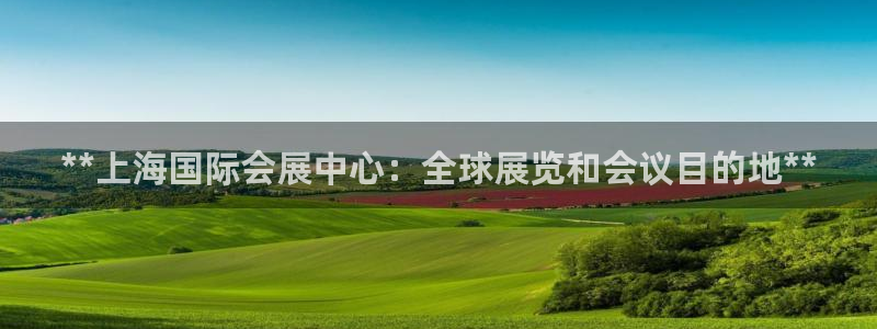果博注册链接：**上海国际会展中心：全球展览和会议目的地**