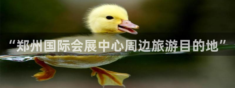 果博公司会员注册：“郑州国际会展中心周边旅游目的地”