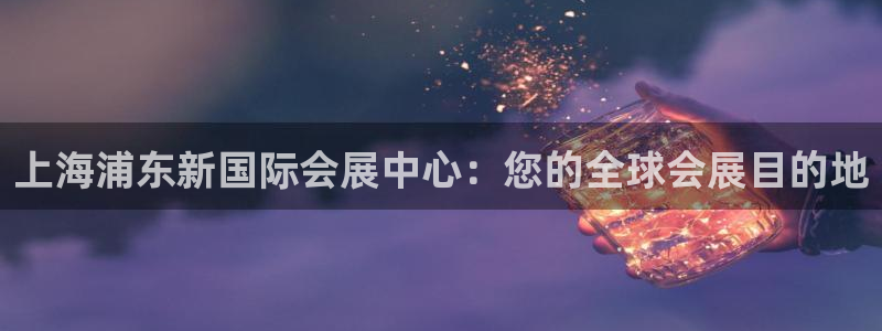 果博公司会员注册账号开户：上海浦东新国际