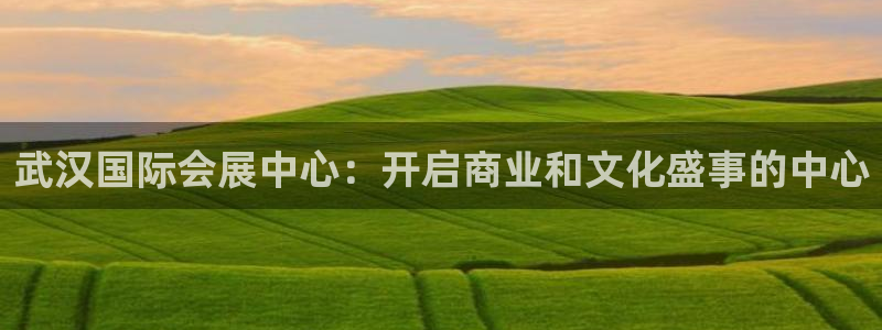 果博注册客服电话号码是多少：武汉国际会展中心：开启商业和文化盛事的中心