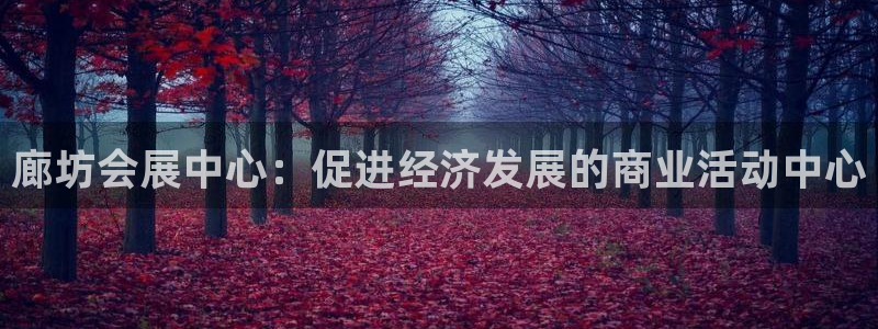 果博注册：廊坊会展中心：促进经济发展的商业活动中心