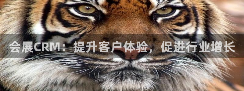 果博平台客服电话：会展CRM：提升客户体验，促进行业增长