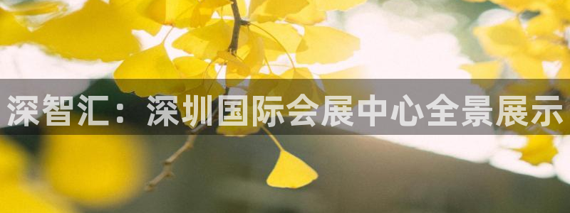 果博代理怎么注册：深智汇：深圳国际会展中心全景展示