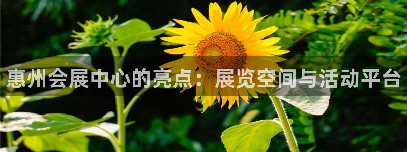果博注册客服电话：惠州会展中心的亮点：展览空间与活动平台