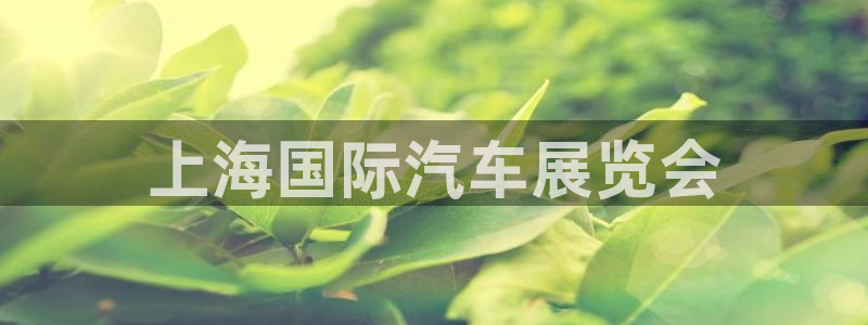 果博平台怎么下载?：上海国际汽车展览会
