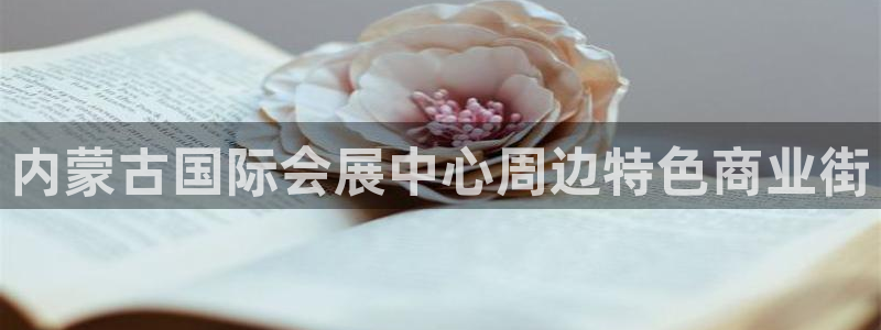 果博真人：内蒙古国际会展中心周边特色商业街
