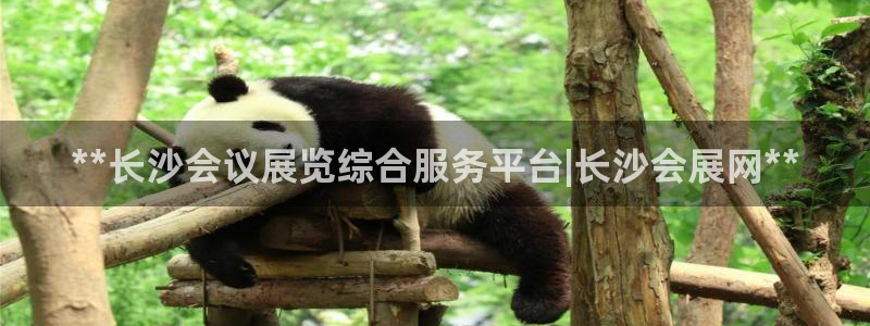 果博公司游戏网址：**长沙会议展览综合服务平台|长沙会展网**