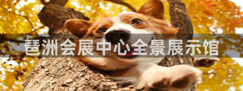 果博平台真实吗安全吗可信吗可靠吗：琶洲会展中心全景展示馆