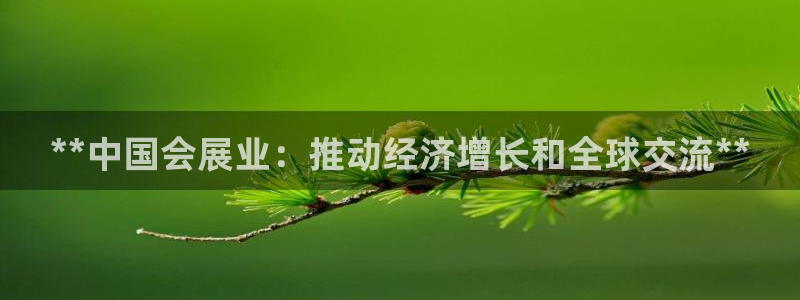 果博公司客服联系方式：**中国会展业：推动经济增长和全球交流**