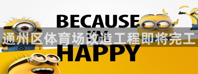 果博平台真实吗安全吗：通州区体育场改造工程即将完工