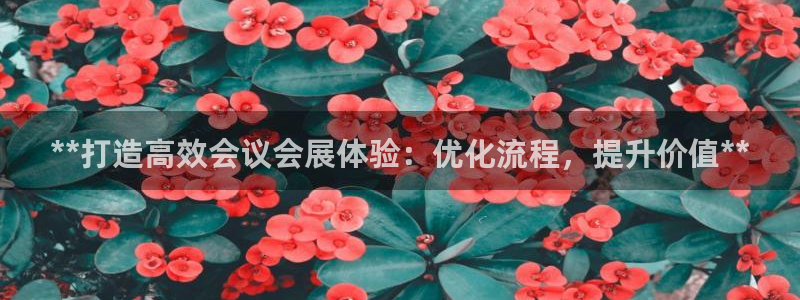 果博平台真实吗安全吗可信吗安全吗：**打造高效会议会展体验：优化流程，提升价值**