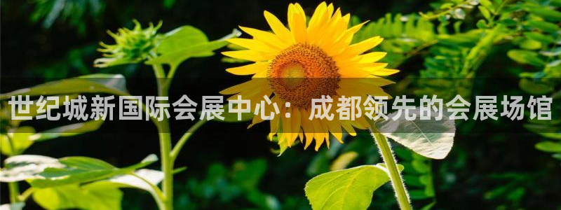 果博平台赖不赖：世纪城新国际会展中心：成都领先的会展场馆