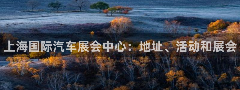 果博公司会员怎么开户：上海国际汽车展会中心：地址、活动和展会