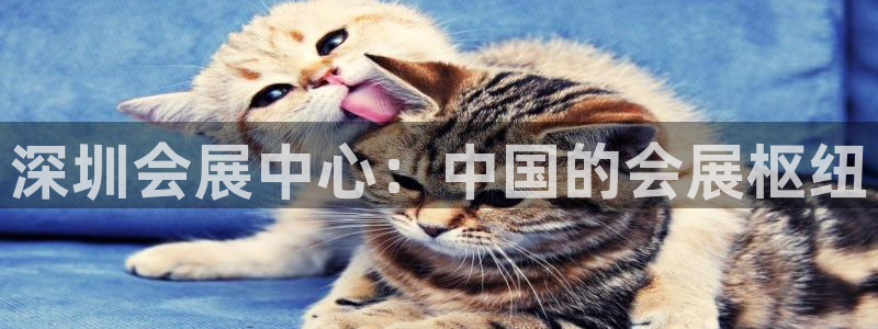 果博注册账号链接：深圳会展中心：中国的会展枢纽