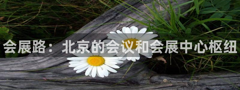 果博注册平台怎么注册不了：会展路：北京的会议和会展中心枢纽