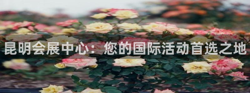 果博公司开户注册：昆明会展中心：您的国际