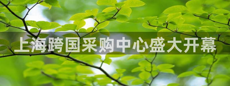 果博注册充值：上海跨国采购中心盛大开幕