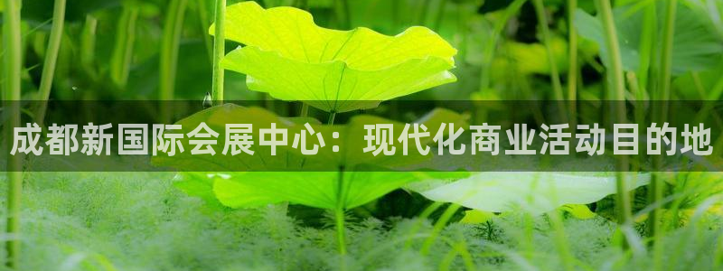 果博公司开户：成都新国际会展中心：现代化商业活动目的地