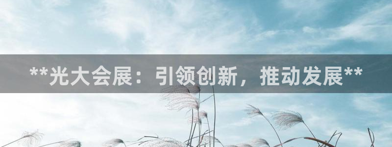 果博公司直属会员开户：**光大会展：引领创新，推动发展**