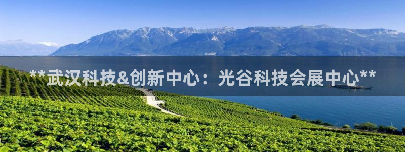 果博平台电话：**武汉科技&创新中心：光谷科技会展中心**
