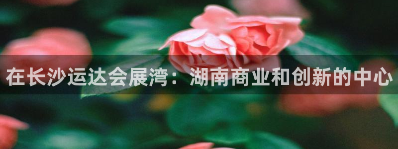 果博平台开户电话