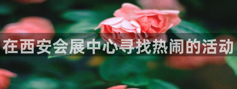 果博平台真实吗：在西安会展中心寻找热闹的活动