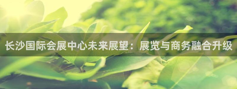 果博公司客服电话：长沙国际会展中心未来展望：展览与商务融合升级