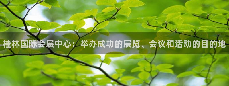 果博注册客服电话是多少：桂林国际会展中心