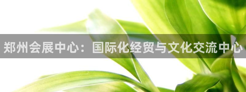 果博旗舰厅：郑州会展中心：国际化经贸与文化交流中心