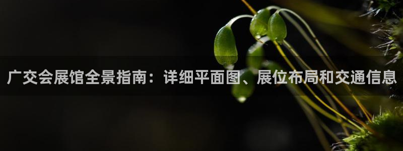 果博平台真实吗安全吗是真的吗：广交会展馆
