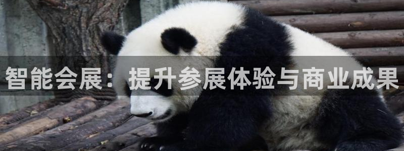 果博平台真实吗安全吗可信吗是真的吗：智能会展：提升参展体验与商业成果
