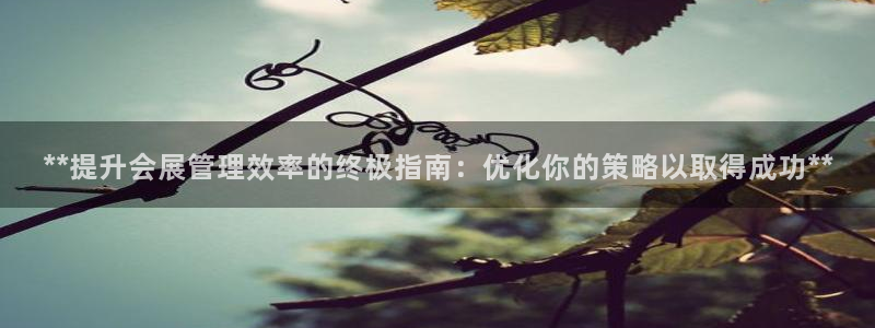 果博公司游戏网址：**提升会展管理效率的