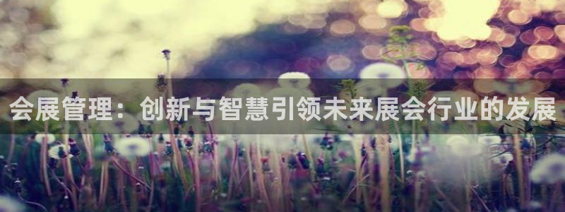 果博平台真实吗安全吗：会展管理：创新与智慧引领未来展会行业的发展