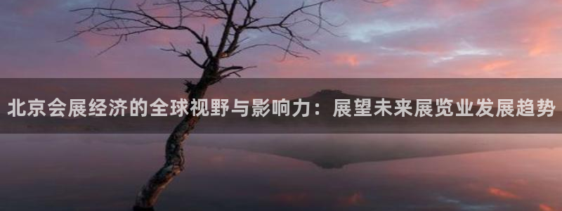 果博公司开户注册：北京会展经济的全球视野与影响力：展望未来展览业发展趋势