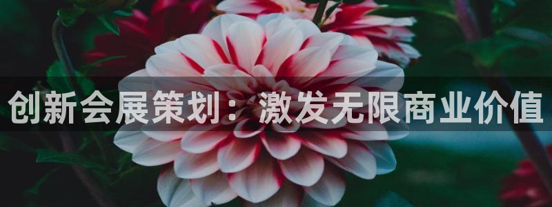 果博怎么注册账号：创新会展策划：激发无限商业价值