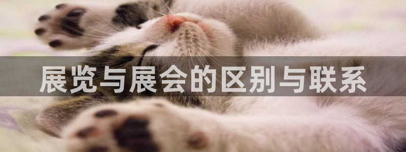 果搏代理：展览与展会的区别与联系