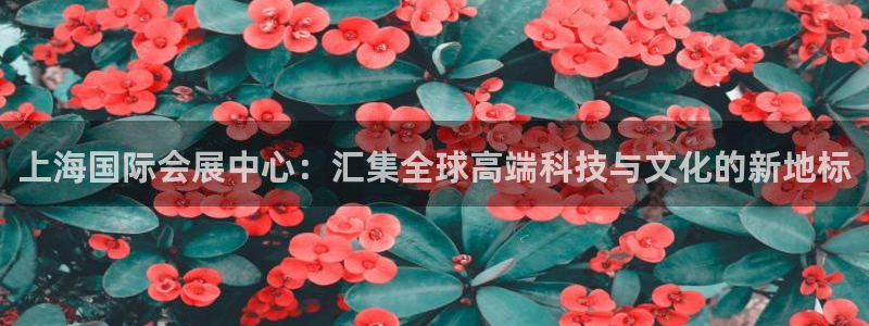 果博公司客服微信公众号：上海国际会展中心：汇集全球高端科技与文化的新地标