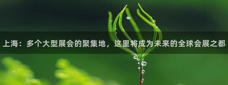 手机怎样下载果博：上海：多个大型展会的聚集地，这里将成为未来的全球会展之都