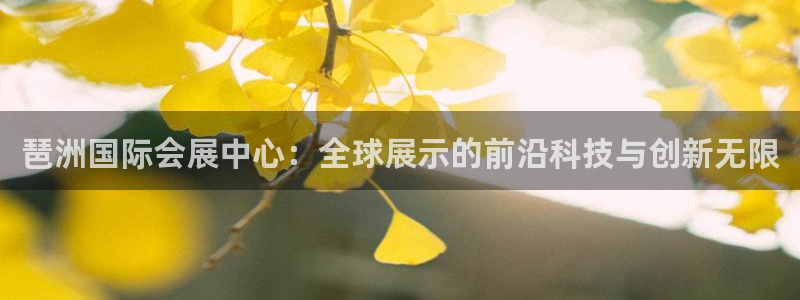 果博注册会员：琶洲国际会展中心：全球展示的前沿科技与创新无限