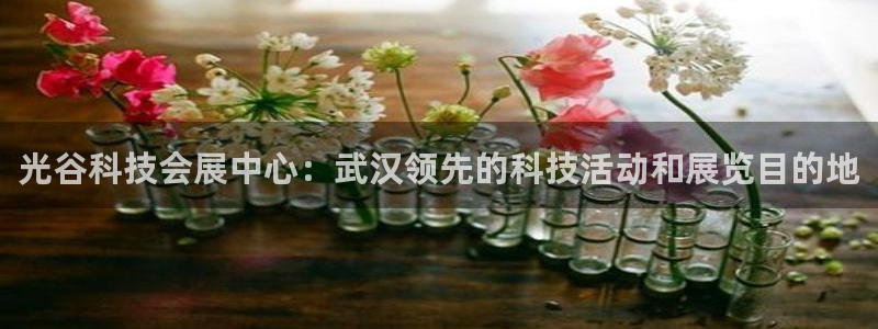 果博网站二维码：光谷科技会展中心：武汉领先的科技活动和展览目的地