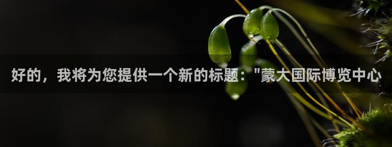 果博账号注册：好的，我将为您提供一个新的标题：\