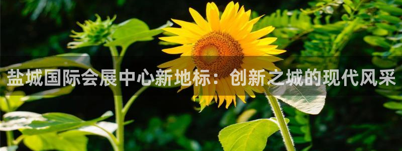 果博注册客服电话是多少：盐城国际会展中心新地标：创新之城的现代风采