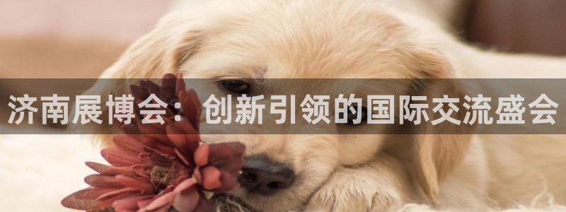 果博平台开户电话：济南展博会：创新引领的