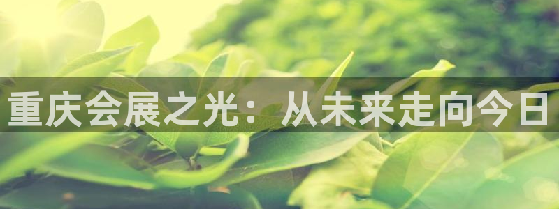 苹果电脑怎么下载伯索：重庆会展之光：从未来走向今日