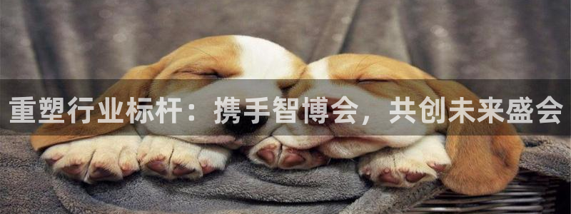 果博平台怎么下载?：重塑行业标杆：携手智博会，共创