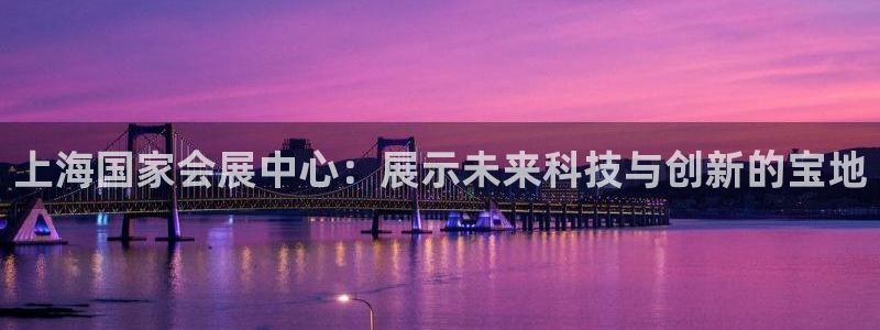 果博官网在银博：上海国家会展中心：展示未